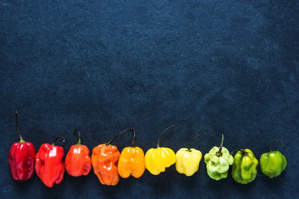 Muitas pimentas vibrantes coloridas — Fotografia de Stock