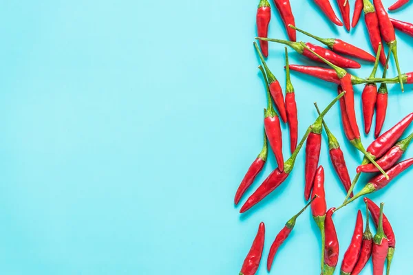 Pimenta vermelha vibrante no fundo azul — Fotografia de Stock