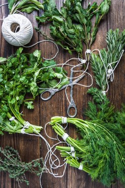 Aromatik otlar ve baharatlar bahçesinden