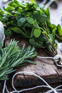 Aromatik otlar ve baharatlar bahçesinden