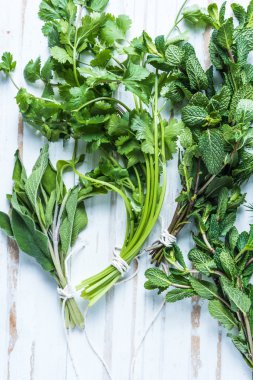 Aromatik otlar ve baharatlar bahçesinden
