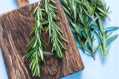 Taze biberiye bitki pastel ahşap tablo