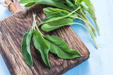 Pastel ahşap masa üzerinde taze adaçayı bitki