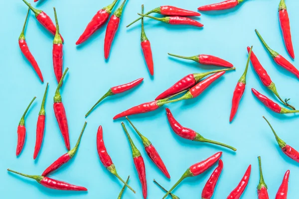 Pimenta vermelha vibrante no fundo azul — Fotografia de Stock