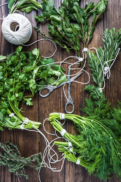 Aromatic herbs and spices from garden — Stock Photo, Image