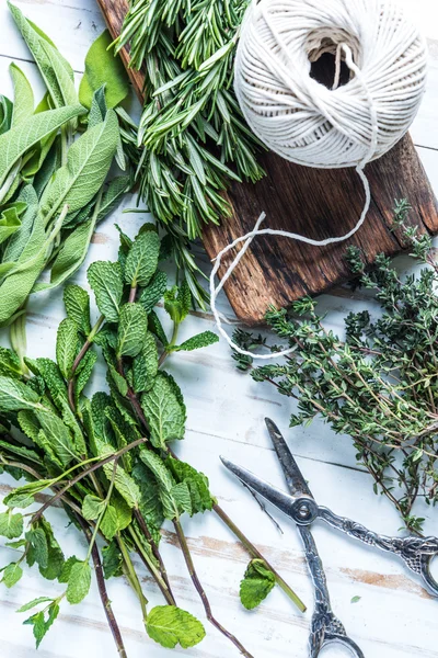 Garden fresh herbs preparation for drying — Stock Photo, Image