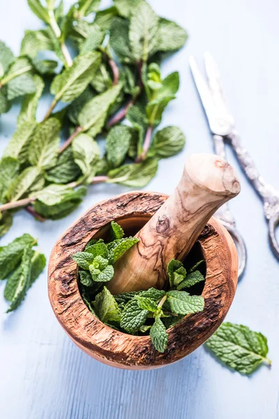 Menta fresca na mesa de madeira — Fotografia de Stock