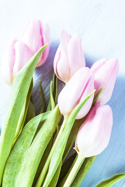 Rosa pastell tulpaner på träskiva — Stockfoto