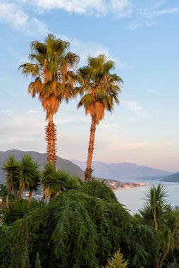 Boka Körfezi üzerindeki güzel manzara 