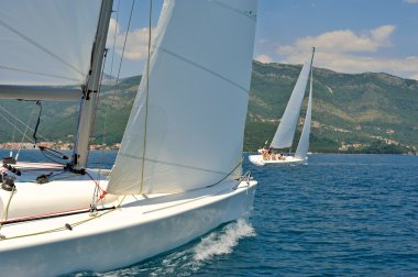 yelkenli tekne yarışı