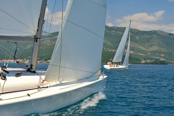 Segelbåtar regatta — Stockfoto