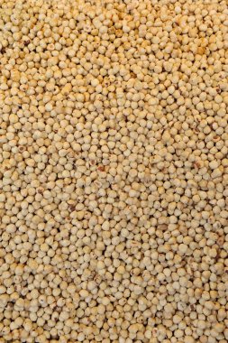 Büyük yığın üzerinde fındık