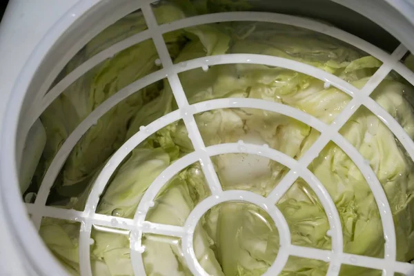 Preparing Sauerkraut Traditional Winter Meal — Stock Photo, Image