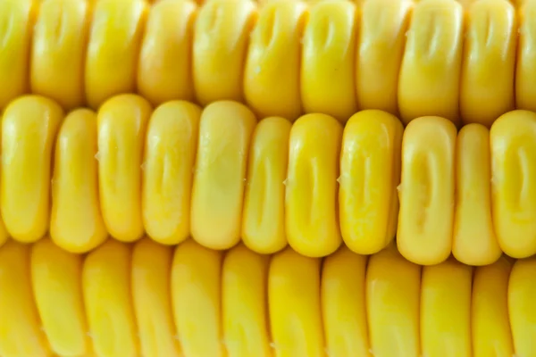 Corn background — Stock Photo, Image