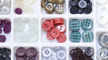Gruplar halinde düzenlenmiş çeşitli kıyafet düğmeleri koleksiyonu