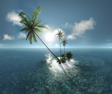 Deniz, tropik ada, palmiye ağaçları, güneş