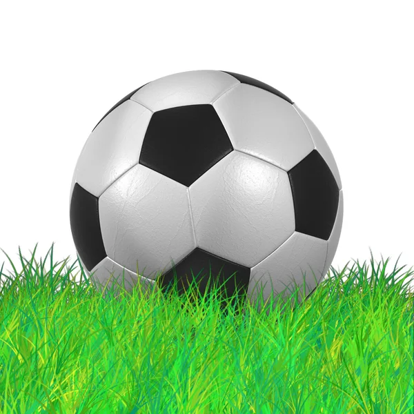 Leather Soccer Ball on Grassl high resolution isolated 3D illustration — Stock Photo, Image