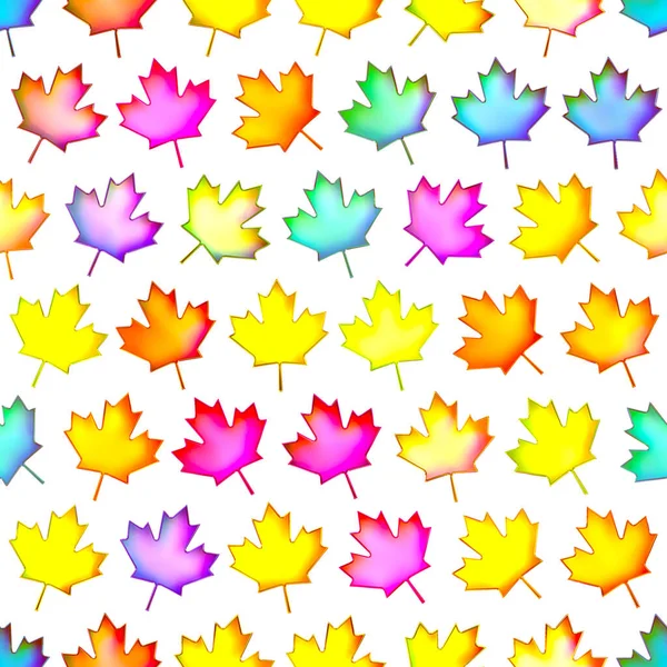 Seamless colorful maple-leaf texture, Isolation on a white background.