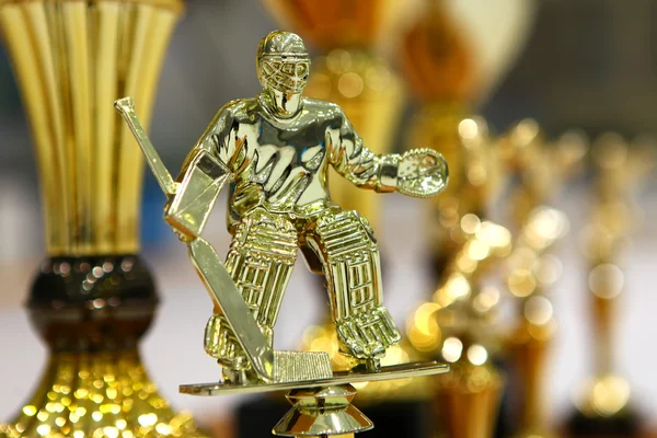 Ice hockey cup — Stock Photo, Image