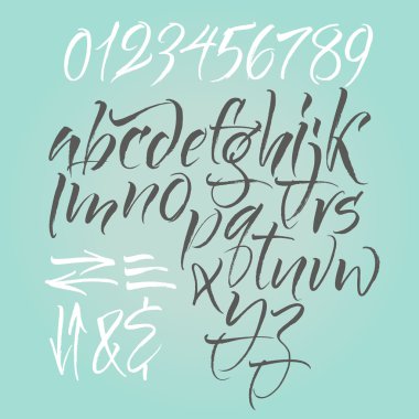 Vektör alfabesi. El çizimi mektuplar. Alfabedeki harfler fırçayla yazılmış..