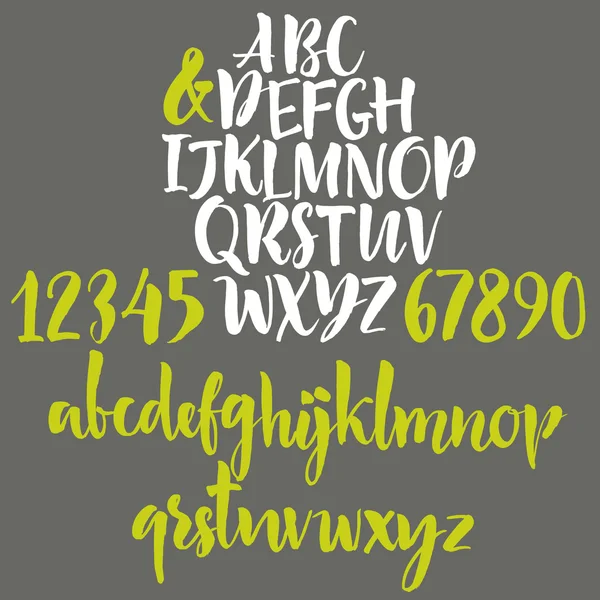 Buchstaben des Alphabets: klein geschrieben, groß geschrieben. Vektoralphabet. handgezeichnete Buchstaben. Buchstaben des Alphabets mit dem Pinsel geschrieben — Stockvektor