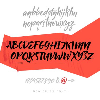 Alfabe harfler: küçük, büyük harf ve sayı. Vektör alfabe. Elle çizilmiş harfler. Bir boya fırçası ile yazılı alfabenin harfleri