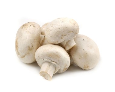 Beyaz arkaplanda mantarlar