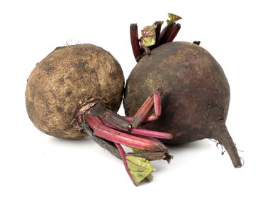 Beyaz bir arka planda pancar