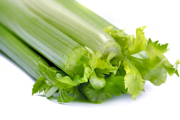 Beyaz arkaplanda kereviz