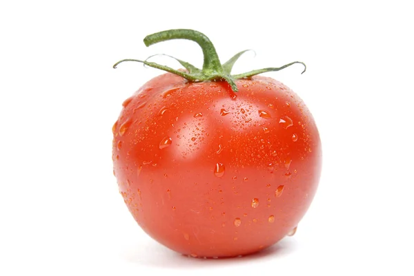 Enkele tomaat op een witte achtergrond — Stockfoto