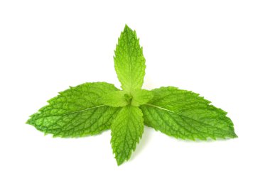 Beyaz arkaplanda taze nane yaprakları
