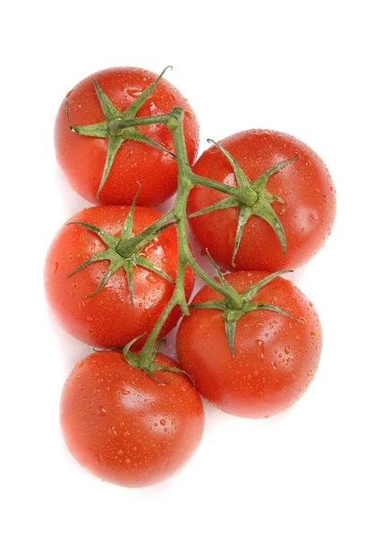 Los tomates frescos sobre la vid —  Fotos de Stock