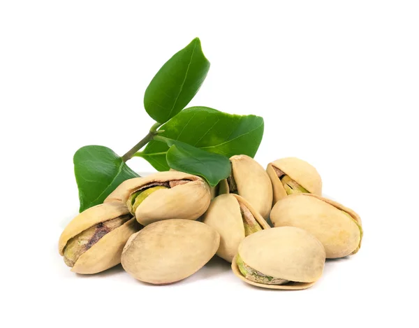 Beyaz zemin üzerine yeşil yaprakları ile kavrulmuş tuzlu fıstık