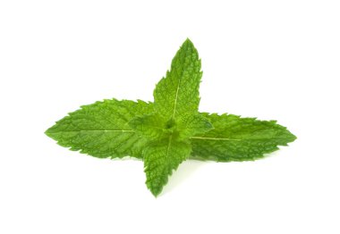 Beyaz arkaplanda taze nane yaprakları
