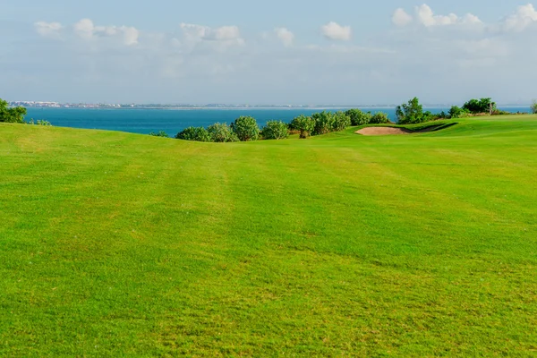 Clube de golfe e bola na grama — Fotografia de Stock