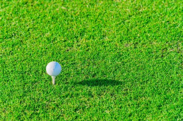 Golf club e palla in erba — Foto Stock