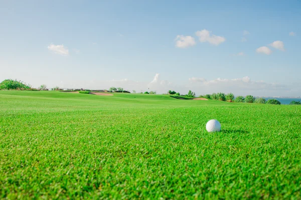 Golf sopası ve top çimenlerde. — Stok fotoğraf