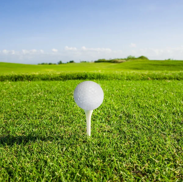 Golf club and ball in grass — Stock Photo, Image