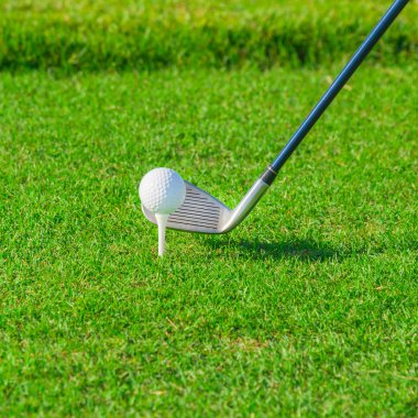 Golf sopası ve top çimenlerde.