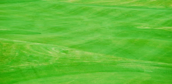 Golfová hůl a míček v trávě — Stock fotografie