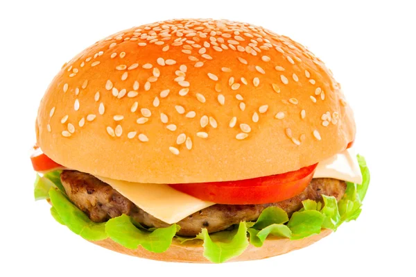 Big hamburger on white background — Stock Photo, Image