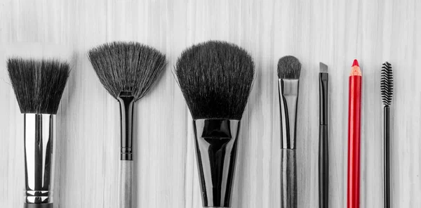 Brosse de maquillage professionnelle — Photo