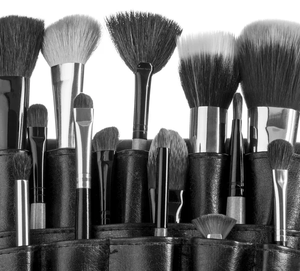 Brosse de maquillage professionnelle — Photo