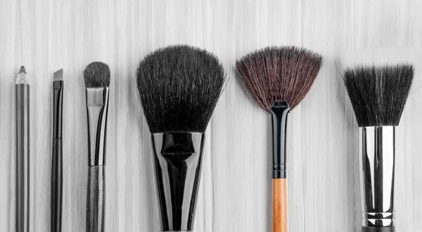 Professioneller Make-up Pinsel — Stockfoto
