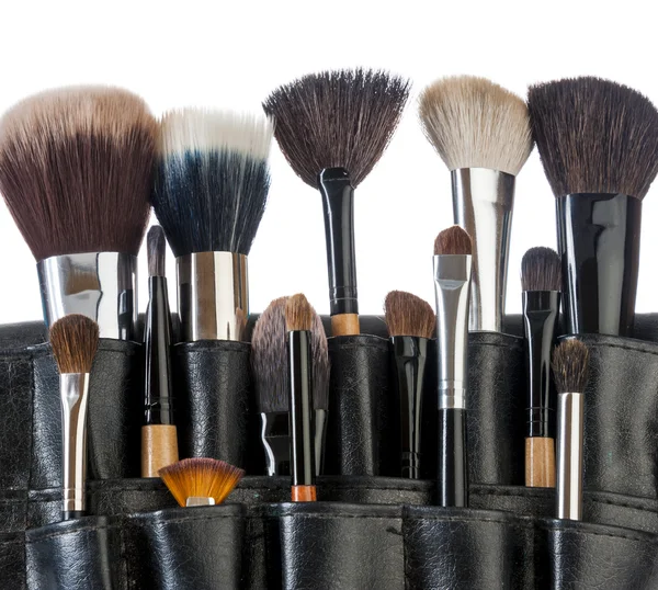 Brosse de maquillage professionnelle — Photo