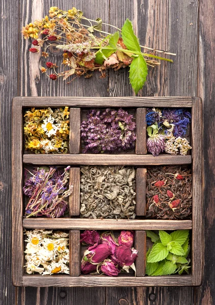 Dried Herbs and flowers in vintage box