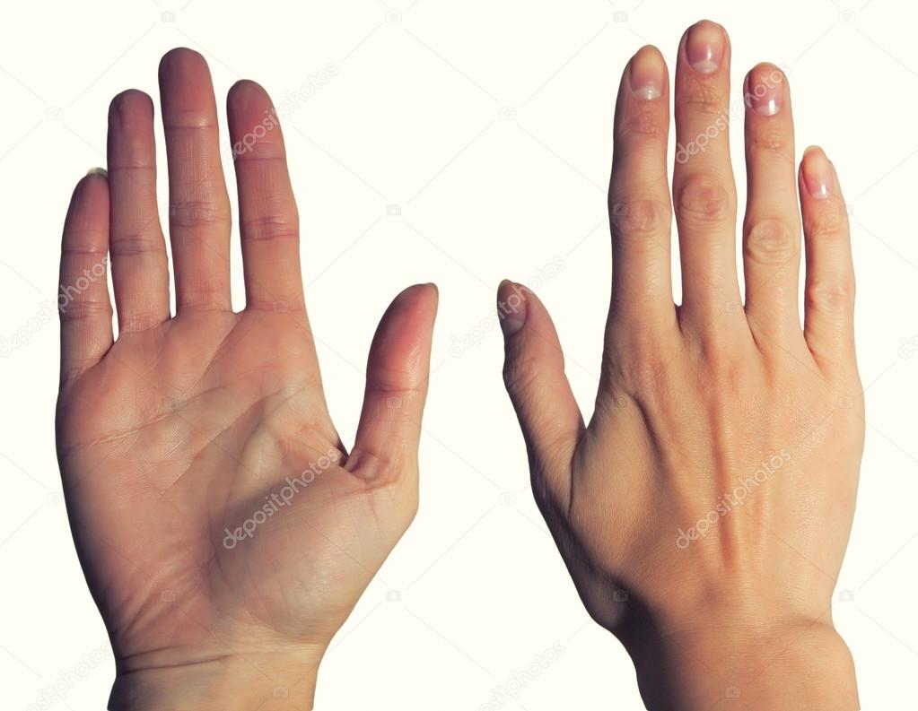 Pictures : womens hands | Women's hands, palm and back — Stock Photo