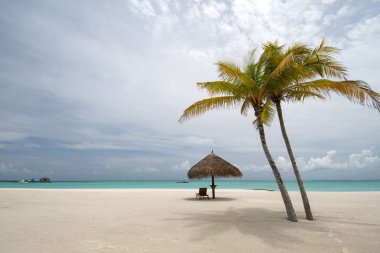 Maldivler plaj