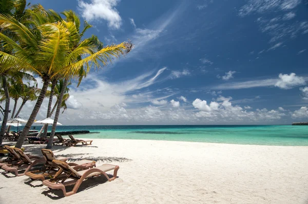 Maldives beach — Stock Photo, Image