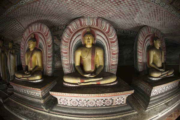 Estatuas de Buda en el templo de roca de Dambulla, Sri Lanka —  Fotos de Stock